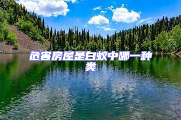 危害房屋是白蟻中哪一種類