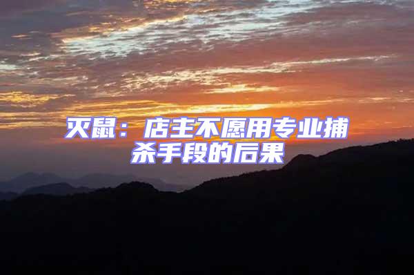 滅鼠：店主不愿用專業(yè)捕殺手段的后果