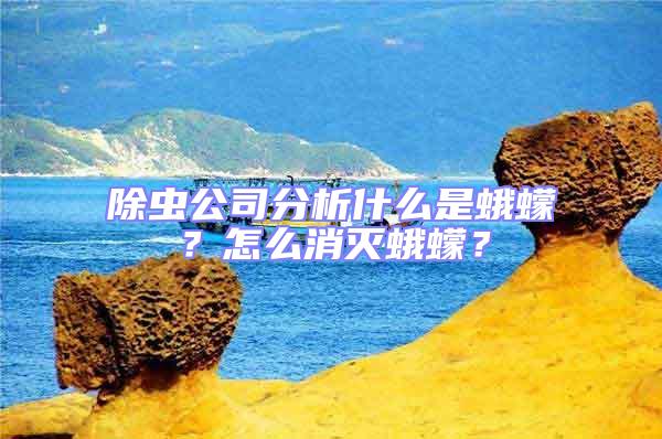 除蟲公司分析什么是蛾蠓？怎么消滅蛾蠓？