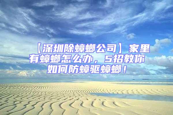 【深圳除蟑螂公司】家里有蟑螂怎么辦，5招教你如何防蟑驅蟑螂！
