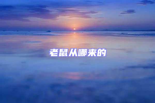 老鼠從哪來的