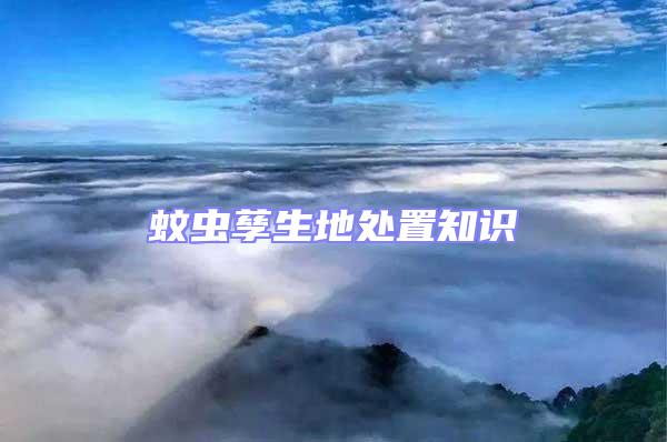 蚊蟲孳生地處置知識(shí)