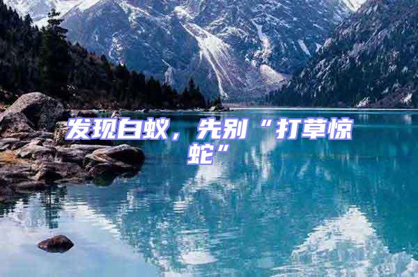 發(fā)現(xiàn)白蟻，先別“打草驚蛇”