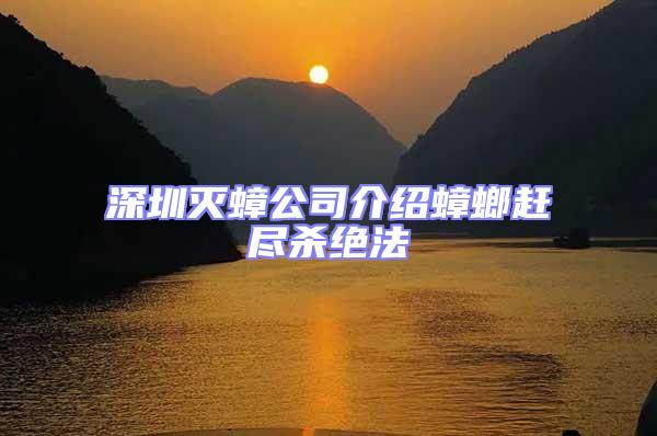深圳滅蟑公司介紹蟑螂趕盡殺絕法