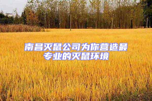 南昌滅鼠公司為你營(yíng)造最專業(yè)的滅鼠環(huán)境