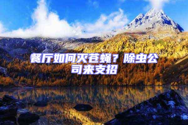 餐廳如何滅蒼蠅？除蟲(chóng)公司來(lái)支招