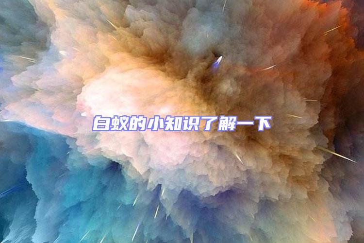 白蟻的小知識了解一下