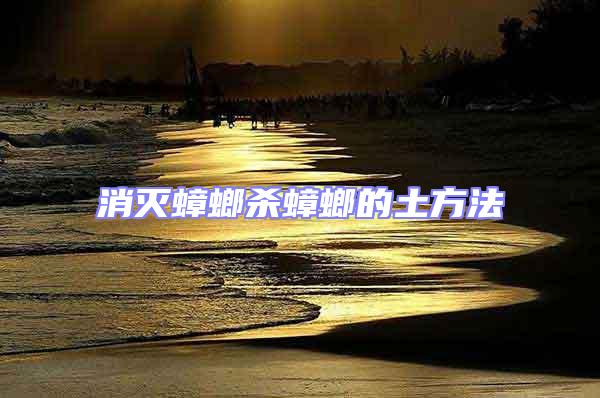 消滅蟑螂殺蟑螂的土方法
