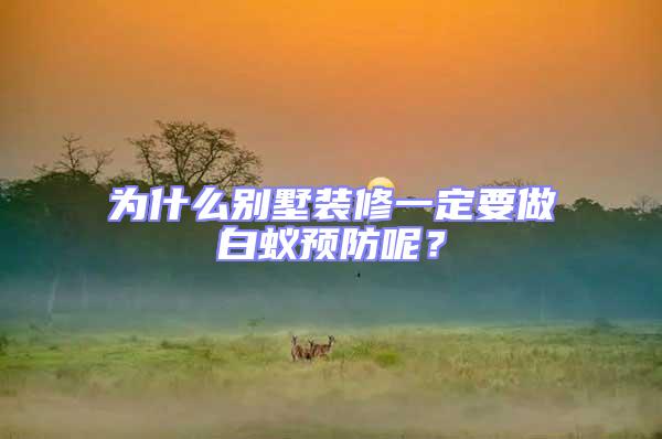 為什么別墅裝修一定要做白蟻預(yù)防呢？