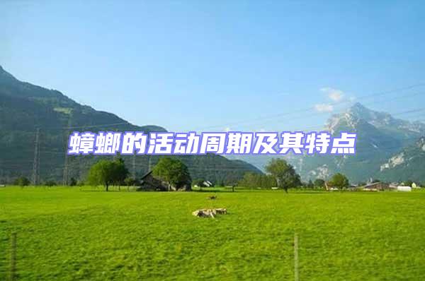 蟑螂的活動周期及其特點