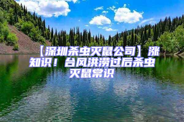 【深圳殺蟲滅鼠公司】漲知識！臺風(fēng)洪澇過后殺蟲滅鼠常識