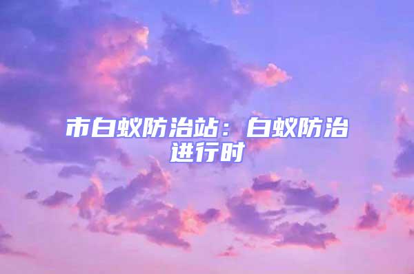 市白蟻防治站：白蟻防治進行時