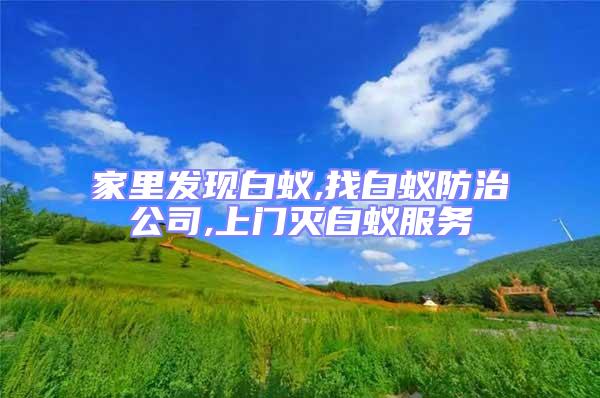 家里發現白蟻,找白蟻防治公司,上門滅白蟻服務