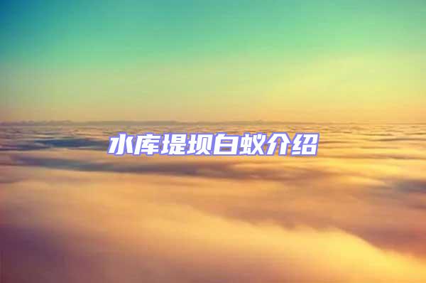 水庫堤壩白蟻介紹