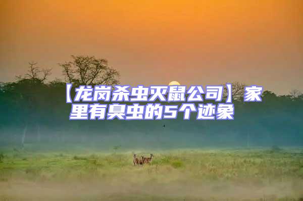 【龍崗殺蟲滅鼠公司】家里有臭蟲的5個跡象