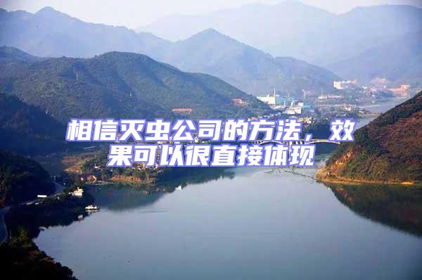 相信滅蟲公司的方法，效果可以很直接體現