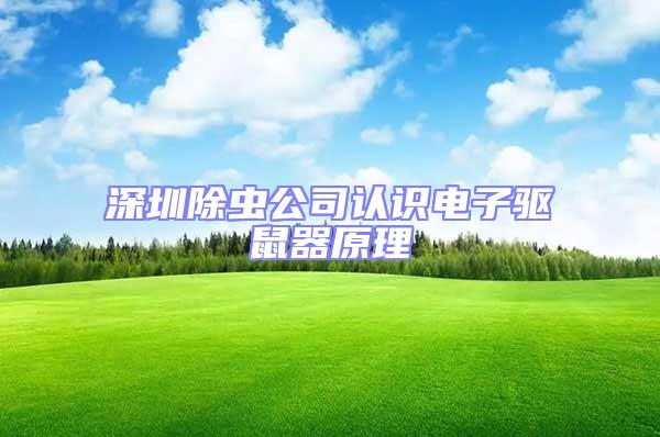 深圳除蟲公司認(rèn)識電子驅(qū)鼠器原理