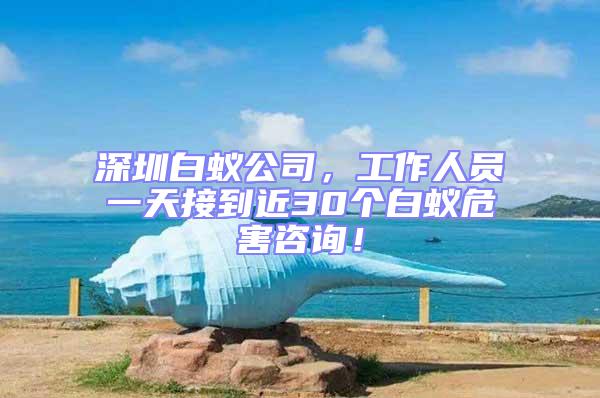 深圳白蟻公司，工作人員一天接到近30個白蟻危害咨詢！