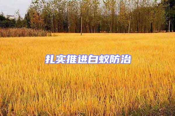 扎實(shí)推進(jìn)白蟻防治