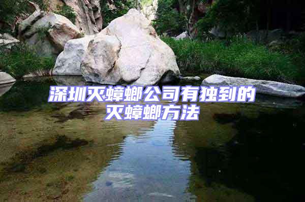 深圳滅蟑螂公司有獨到的滅蟑螂方法