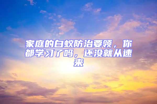 家庭的白蟻防治要領(lǐng)，你都學(xué)習(xí)了嗎，還沒就從速來