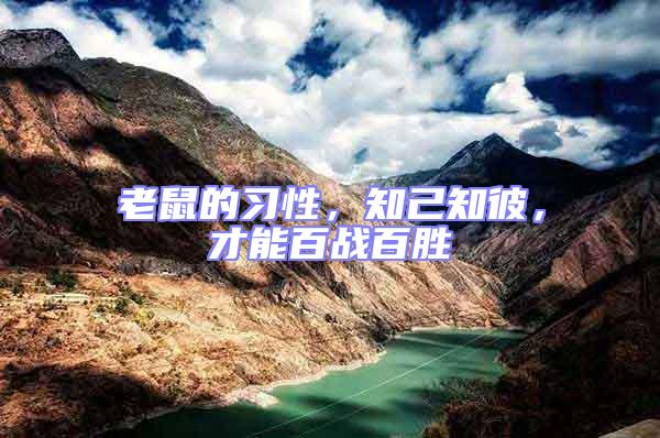 老鼠的習(xí)性，知己知彼，才能百戰(zhàn)百勝