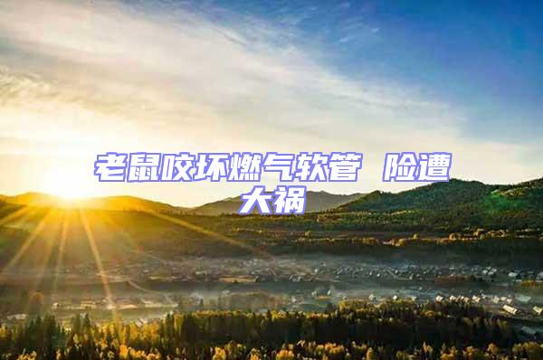 老鼠咬壞燃氣軟管 險遭大禍