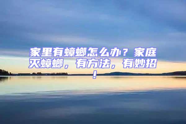 家里有蟑螂怎么辦？家庭滅蟑螂，有方法，有妙招！