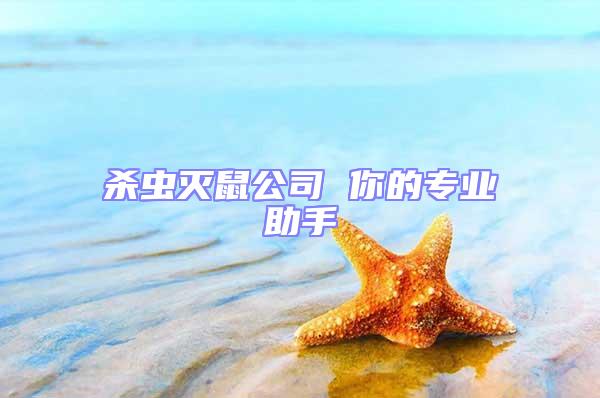 殺蟲滅鼠公司 你的專業(yè)助手