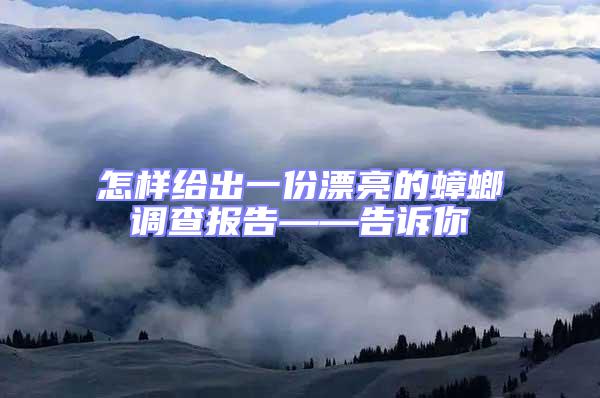 怎樣給出一份漂亮的蟑螂調查報告——告訴你