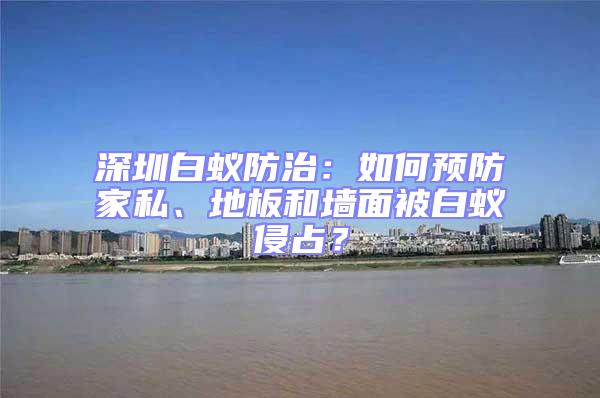深圳白蟻防治：如何預(yù)防家私、地板和墻面被白蟻侵占？