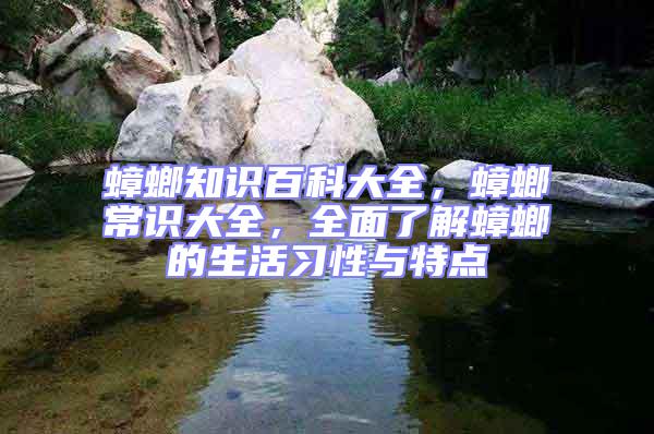 蟑螂知識百科大全，蟑螂常識大全，全面了解蟑螂的生活習(xí)性與特點(diǎn)