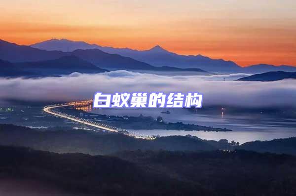白蟻巢的結構