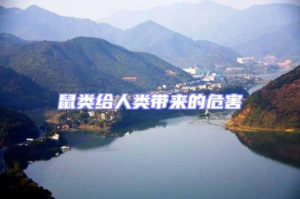 鼠類給人類帶來(lái)的危害