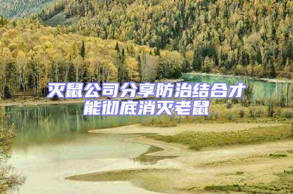 滅鼠公司分享防治結(jié)合才能徹底消滅老鼠