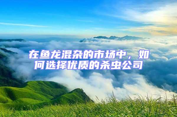 在魚龍混雜的市場中，如何選擇優質的殺蟲公司