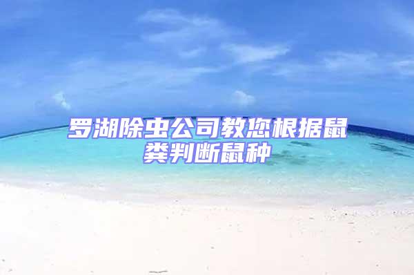 羅湖除蟲公司教您根據(jù)鼠糞判斷鼠種
