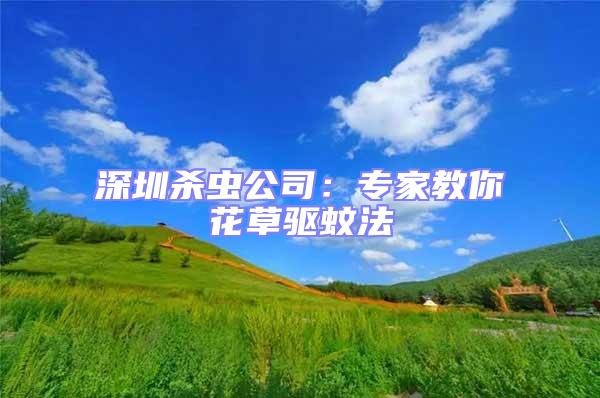 深圳殺蟲公司：專家教你花草驅蚊法