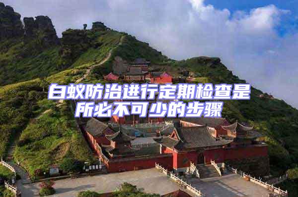 白蟻防治進行定期檢查是所必不可少的步驟