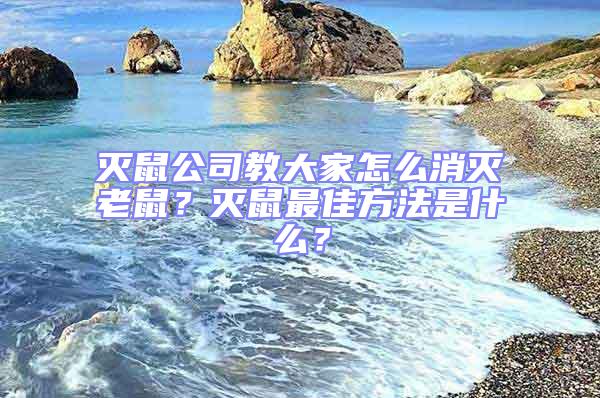 滅鼠公司教大家怎么消滅老鼠？滅鼠最佳方法是什么？