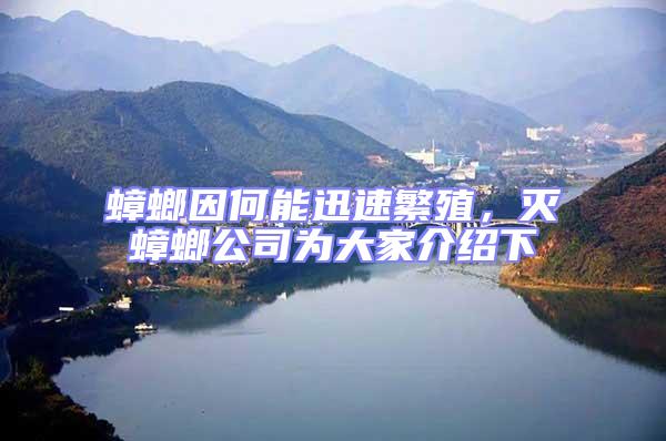 蟑螂因何能迅速繁殖，滅蟑螂公司為大家介紹下