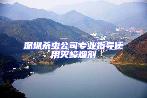 深圳殺蟲公司專業指導使用滅蟑煙劑