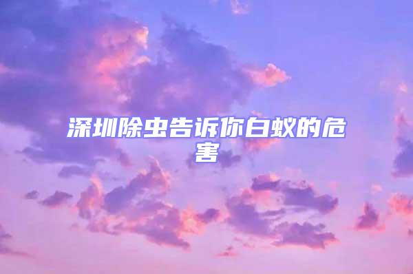 深圳除蟲告訴你白蟻的危害