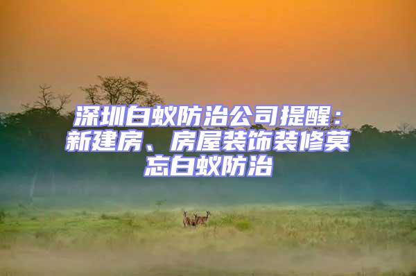深圳白蟻防治公司提醒：新建房、房屋裝飾裝修莫忘白蟻防治