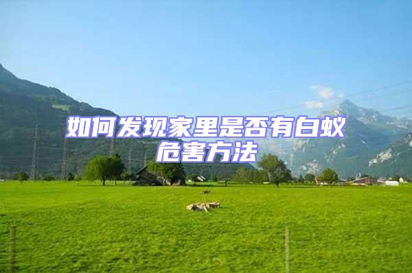 如何發(fā)現(xiàn)家里是否有白蟻危害方法