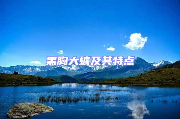 黑胸大蠊及其特點