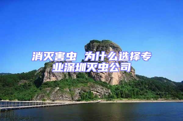 消滅害蟲 為什么選擇專業深圳滅蟲公司