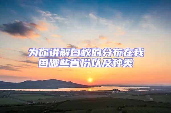 為你講解白蟻的分布在我國(guó)哪些省份以及種類(lèi)