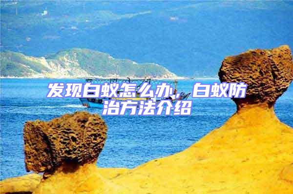 發現白蟻怎么辦，白蟻防治方法介紹