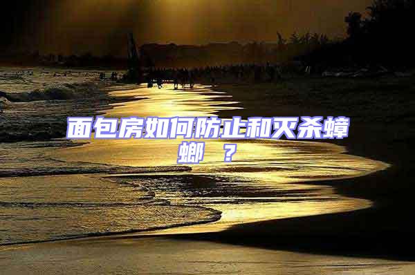 面包房如何防止和滅殺蟑螂 ？
